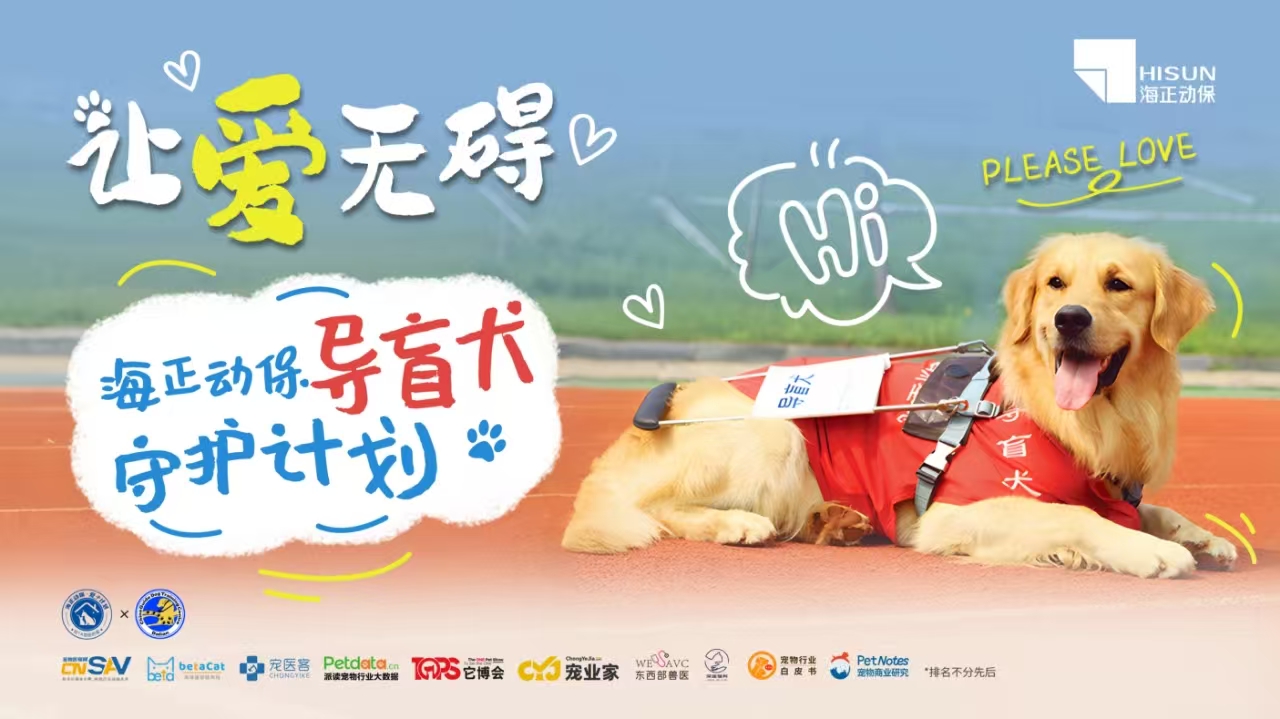 让爱无碍&middot;导盲犬守护打算